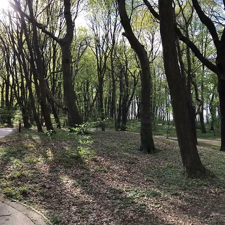 Blizej Morza Dsapartament